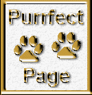 A page award with two golden cat paws that reads Purrfect Page.